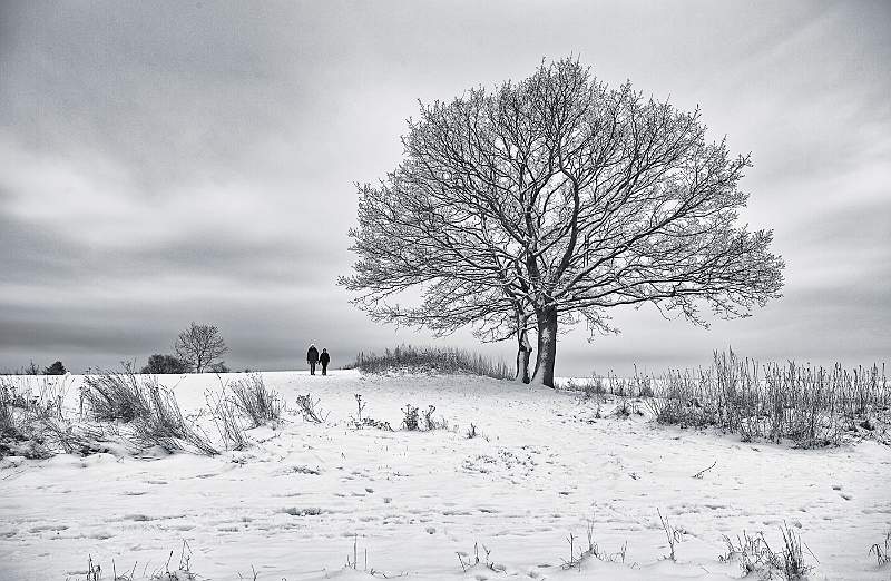 Winter Walk.jpg - Monochrome Exhibition Print